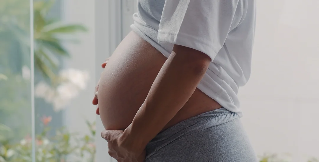 The Connection Between Gut Health, Insulin Resistance, and Fertility