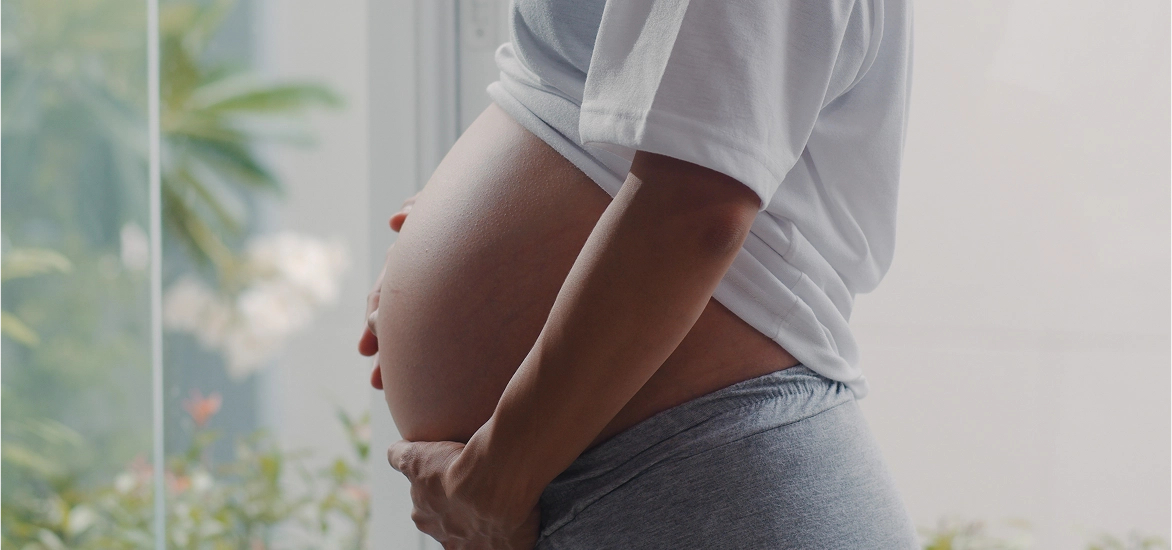 Connection Between Gut Health, Insulin Resistance and Fertility banner img 
