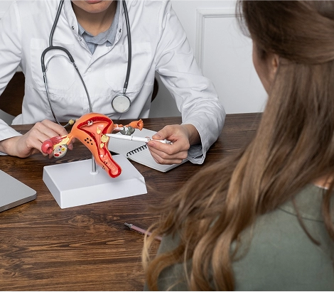 Do Appointments in Weston
