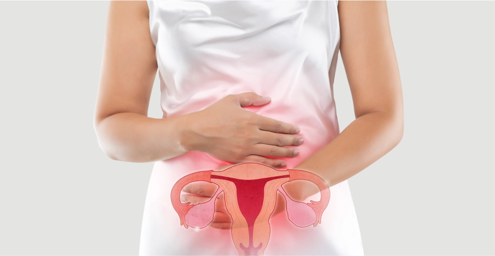 Holistic Treatment For Endometriosis What To Expect