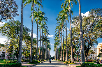 Naples-img