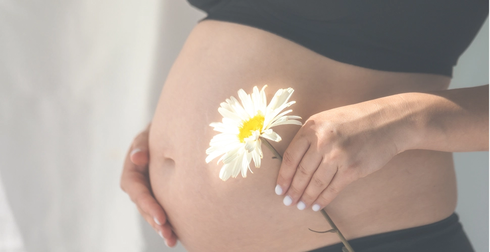 Pregnant-woman-with-flower-5-img Pregnant-woman-with-flower-5-img
