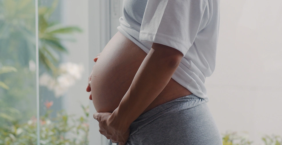 Understanding Female Fertility